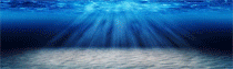 logo-HIKARIBET